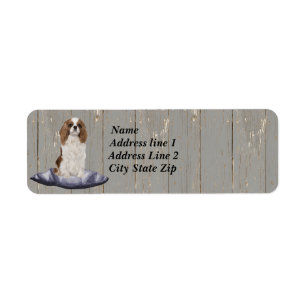 Etiqueta Cute Cocker Spaniel Sentado En El Cushiro Azul