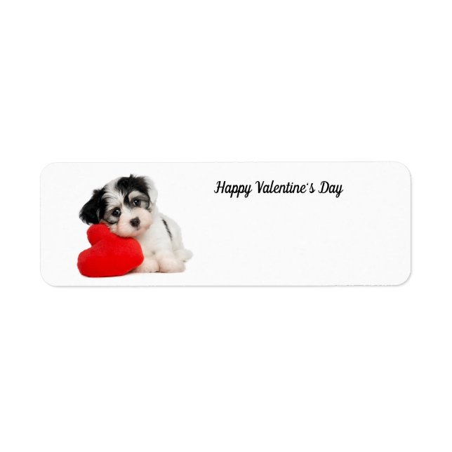 Etiqueta Cute feliz día de San Valentín (Frente)