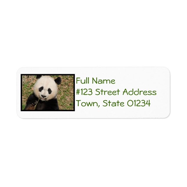 Etiqueta Cute Giant Panda Bear (Frente)