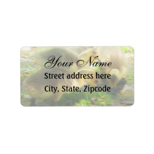 Etiqueta Cute Gosling