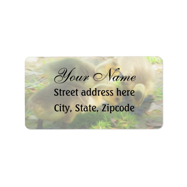 Etiqueta Cute Gosling (Frente)