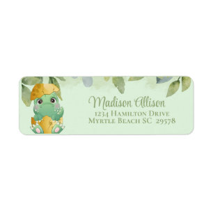 Etiqueta Cute Green Dinosaur Boys Baby Shower