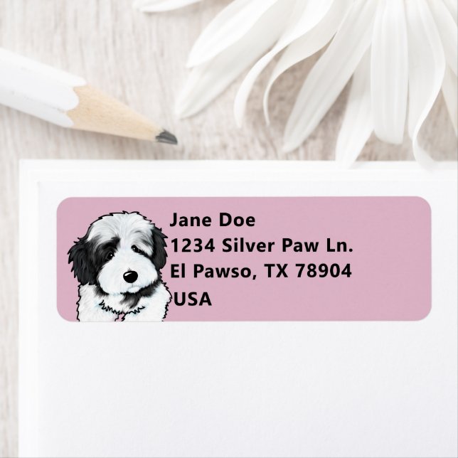 Etiqueta Cute Havanese (In situ)
