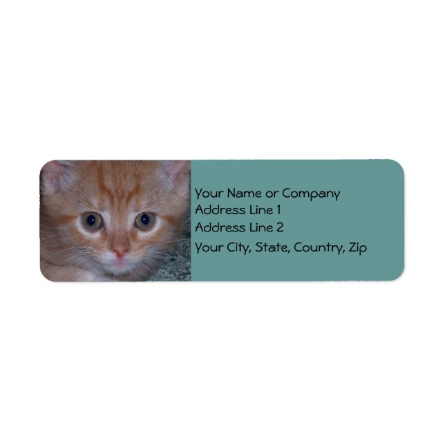 Etiqueta Cute Kitten (Frente)