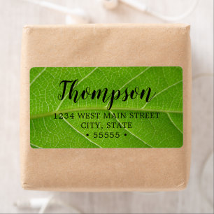 Etiqueta Cute Leafy Greens Close up of Green Leaf