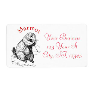 Etiqueta Cute Marmot Animal Thunder_Cove