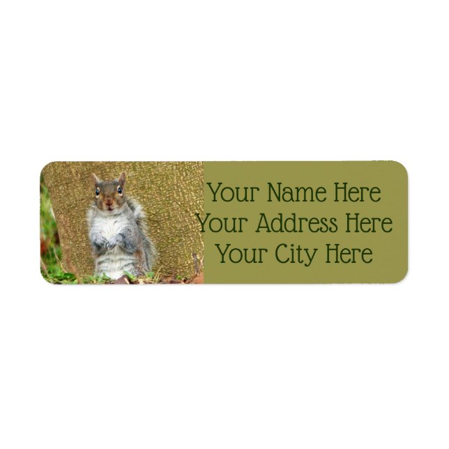 Etiqueta Cute Squirrel (Frente)