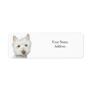 Etiqueta Cute Westie Dog