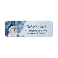 Cute Winter Owl White Blue