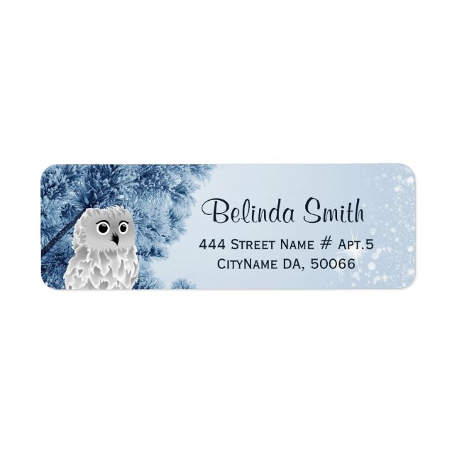 Etiqueta Cute Winter Owl White Blue (Frente)