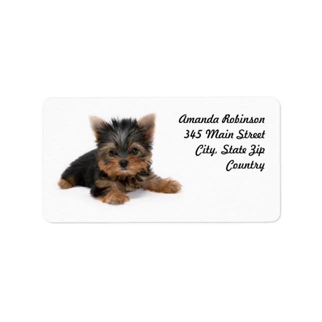 Etiqueta Cute Yorkshire Terrier Puppy (Frente)