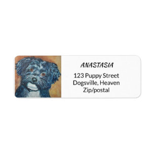 ETIQUETA CUTIE HAVANESE NEGRO