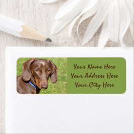 Etiqueta Dachshund