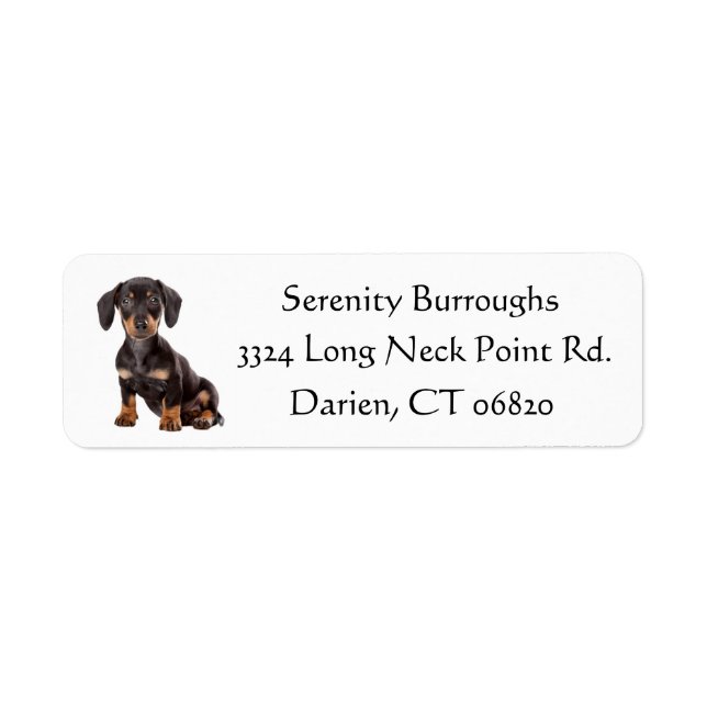 Etiqueta Dachshund Black And Brown Puppy Dog Personalizado (Frente)