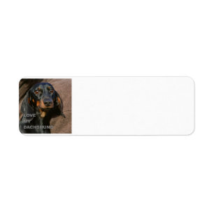 Etiqueta dachshund-black y tan love w pic