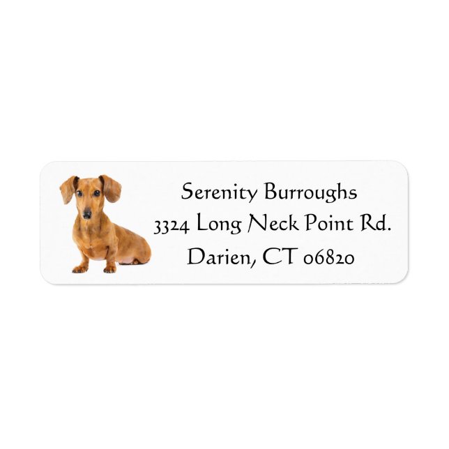 Etiqueta Dachshund Brown Puppy Dog Black Personalizado (Frente)