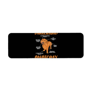 Etiqueta Dachshund Cute Regalos Wiener Doxie Lovers