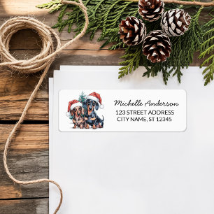 Etiqueta Dachshund en Santa Hat Navidades devuelven la dire