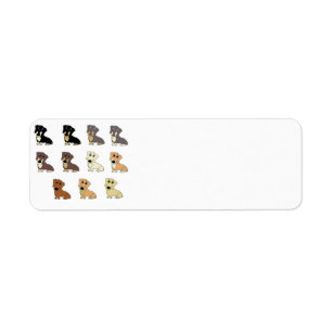 Etiqueta dachshund todos los colores personalizados