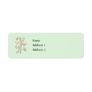 Etiqueta Dainty White Orchids Productos Bodas