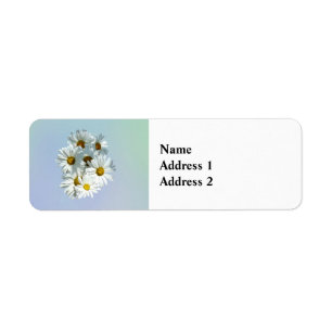 Etiqueta Daisies en el Sunshine II