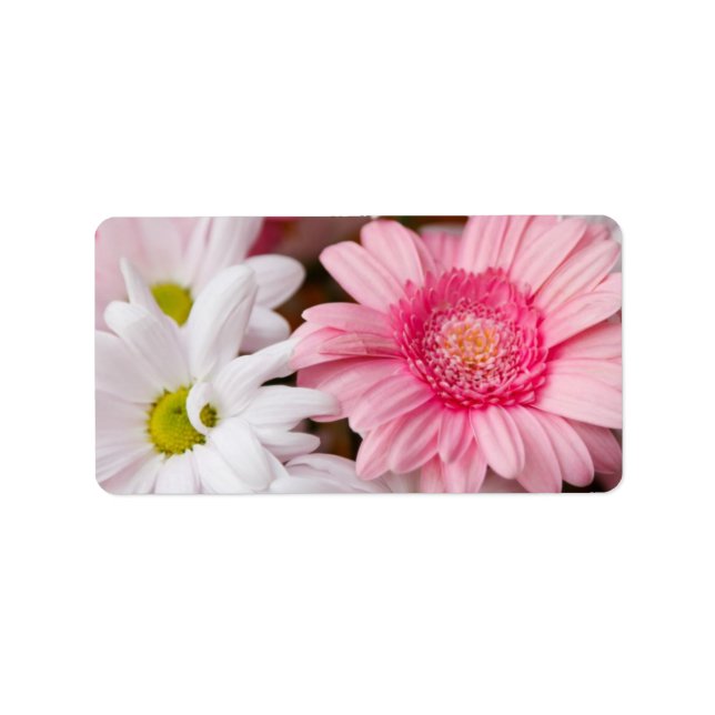 Etiqueta Daisies rosados y blancos (Frente)
