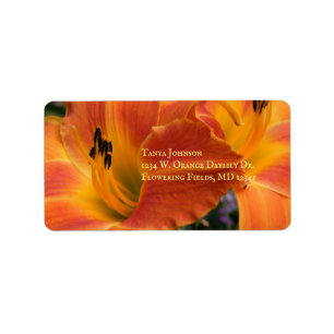 Etiqueta Daylilies / Hemerocallis / Naranja Lily /