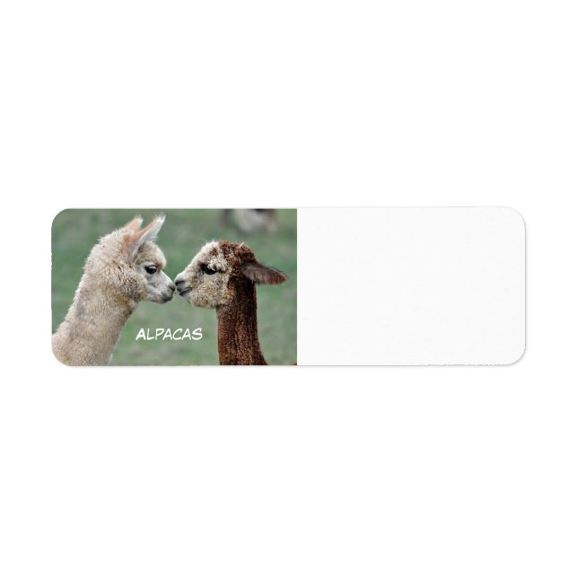Etiqueta de Alpacas (Frente)