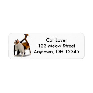 Etiqueta de Avery del amor del gatito
