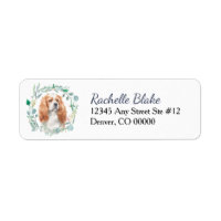 Etiqueta de Blenheim Cavalier King Charles Spaniel
