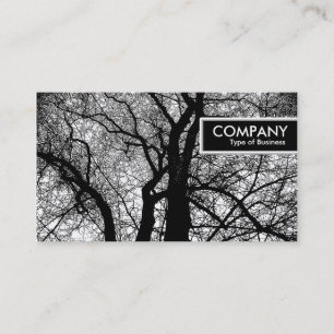 Etiqueta de borde - Árbol de alto contraste