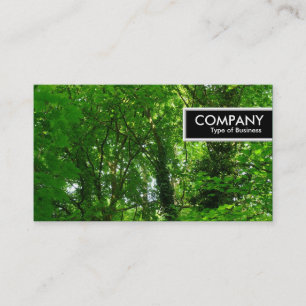 Etiqueta de borde - Árboles en primavera