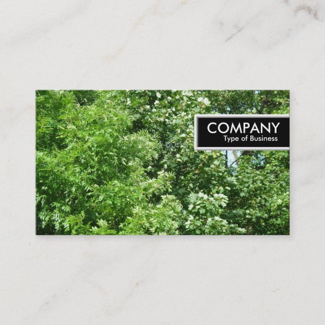 Etiqueta de borde - Brisa de verano (Anverso)