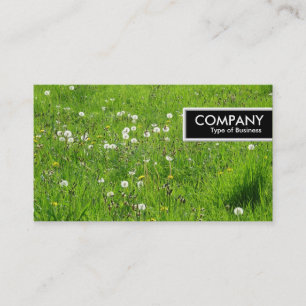 Etiqueta de borde - Dandelion Meadow 02