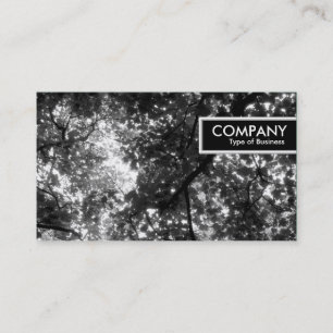 Etiqueta de borde - En los árboles