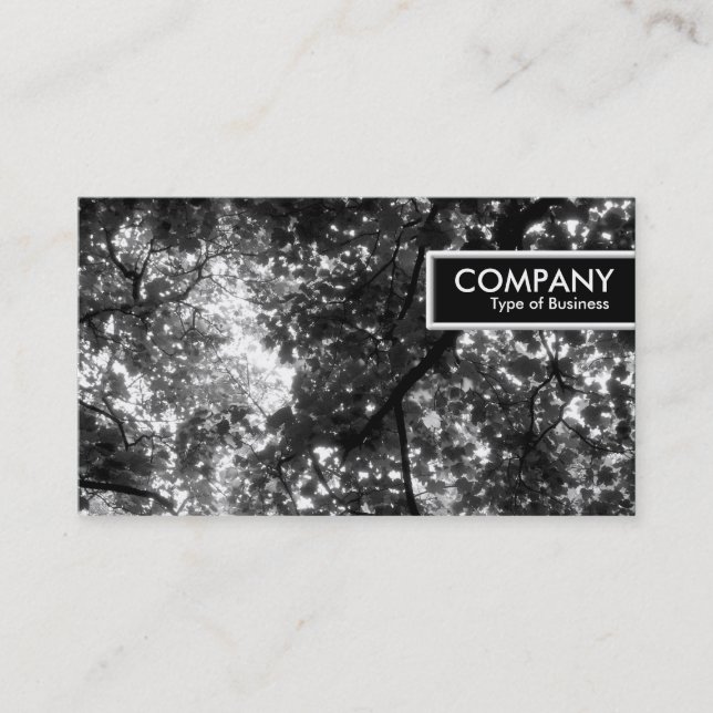 Etiqueta de borde - En los árboles (Anverso)