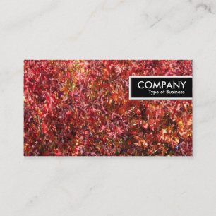 Etiqueta de borde - Hojas de otoño