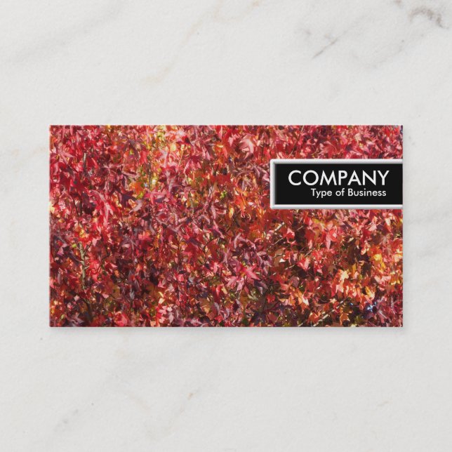 Etiqueta de borde - Hojas de otoño (Anverso)