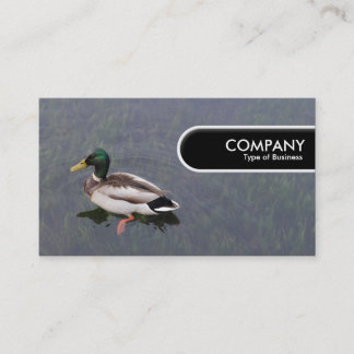 Etiqueta de borde redondeado - pato mallard