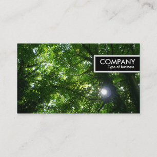 Etiqueta de borde - Sol en los árboles