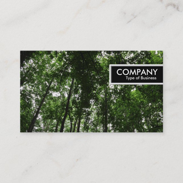 Etiqueta de borde - Tapa de bosque 01 (Anverso)