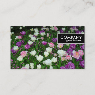 Etiqueta de borde - Tulipanes coloridos