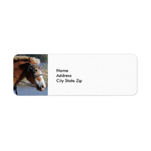 Etiqueta de caballo belga