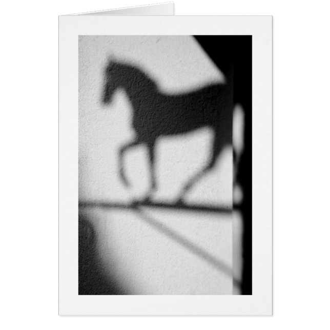 ETIQUETA DE CABALLO NEGRO (Frente)