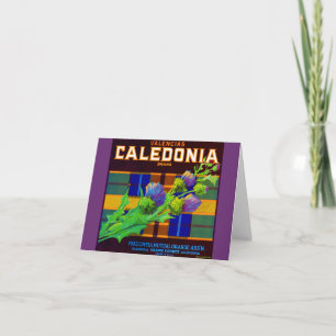 Etiqueta de caja naranja de Caledonia de los años 