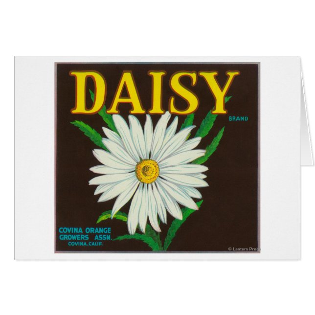 Etiqueta de canal de Daisy Brand Citrus (Anverso (Horizontal))