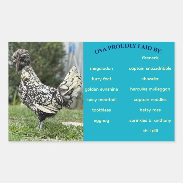 Etiqueta de cartón de huevos (Anverso)