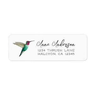 Etiqueta de colibrí de Anna
