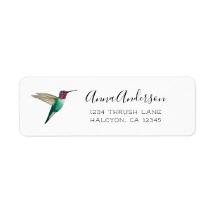 Etiqueta de colibrí de Anna