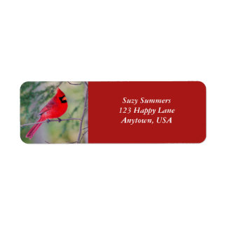 Etiqueta de contraste cardinal